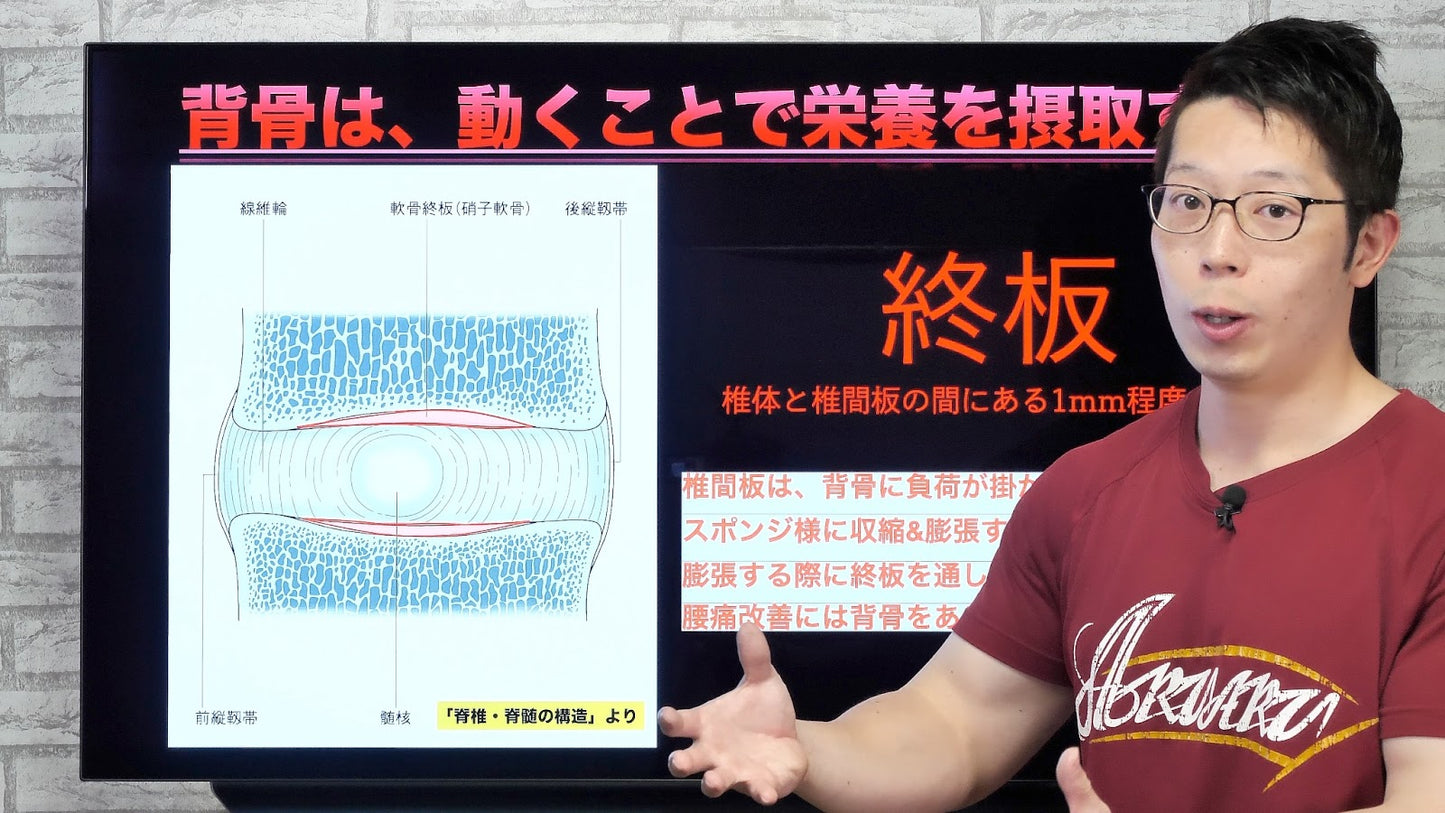 【動画講座】腰痛が出てきたトレーニーに送る、1日5分の改善プログラム