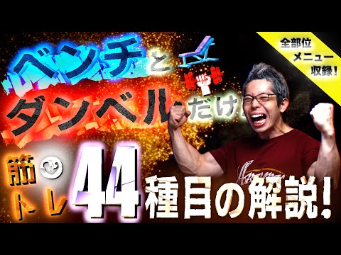 【動画講座】ベンチとダンベルだけでできる 筋トレ44種目の解説!
