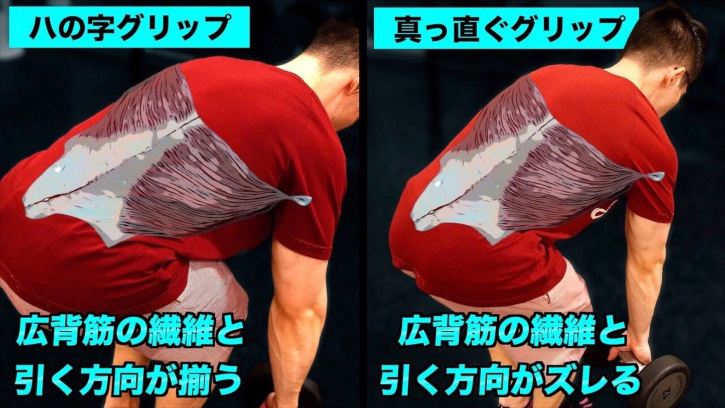 【動画講座】ベンチとダンベルだけでできる 筋トレ44種目の解説!