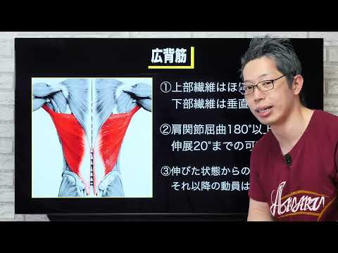 【動画講座】全身を筋肥大させる最強理論