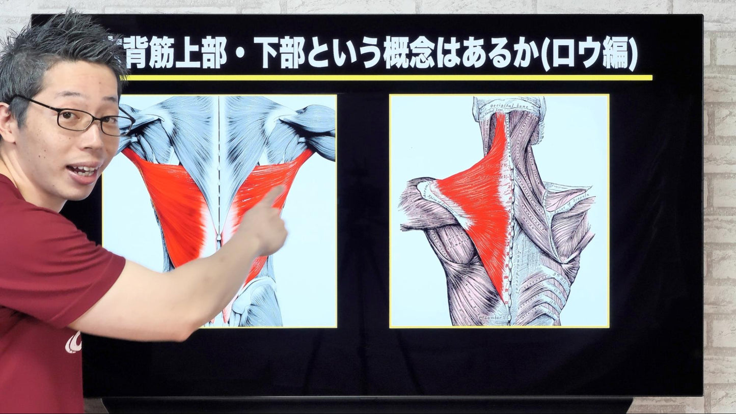 【動画講座】全身を筋肥大させる最強理論